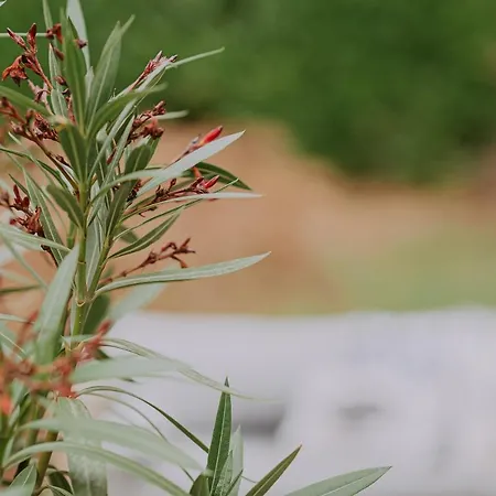 Geva 4* Montignies-le-Tilleul