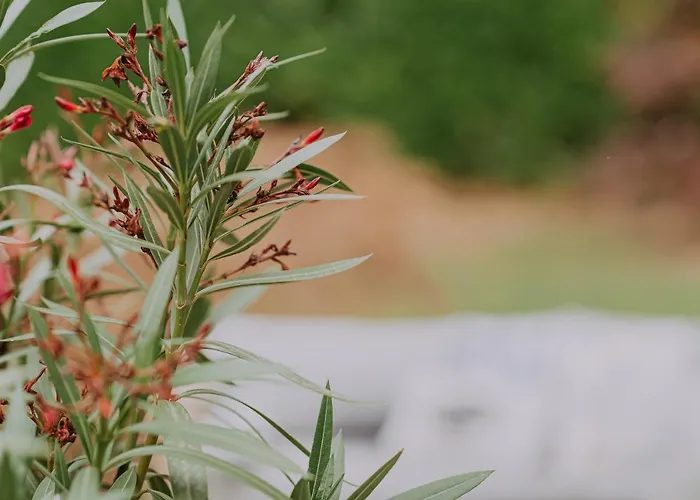 Geva 4* Montignies-le-Tilleul