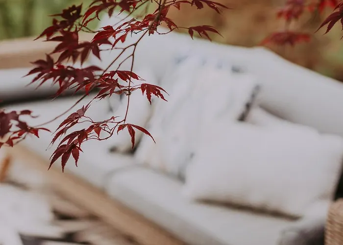 Geva Alojamento de Acomodação e Pequeno-almoço 4*